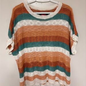Rock n Roll Denim Striped Knit Sweater in Earth Tones